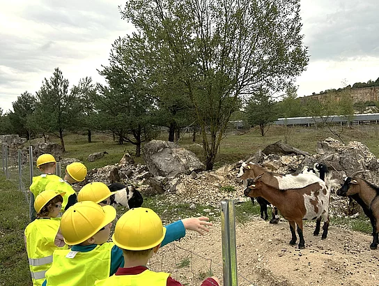 Mehrere Kinder mit gelben Schutzhelmen und leuchtenden Warnwesten stehen an einem Zaun und beobachten eine Gruppe von Ziegen auf einem steinigen Gelände.