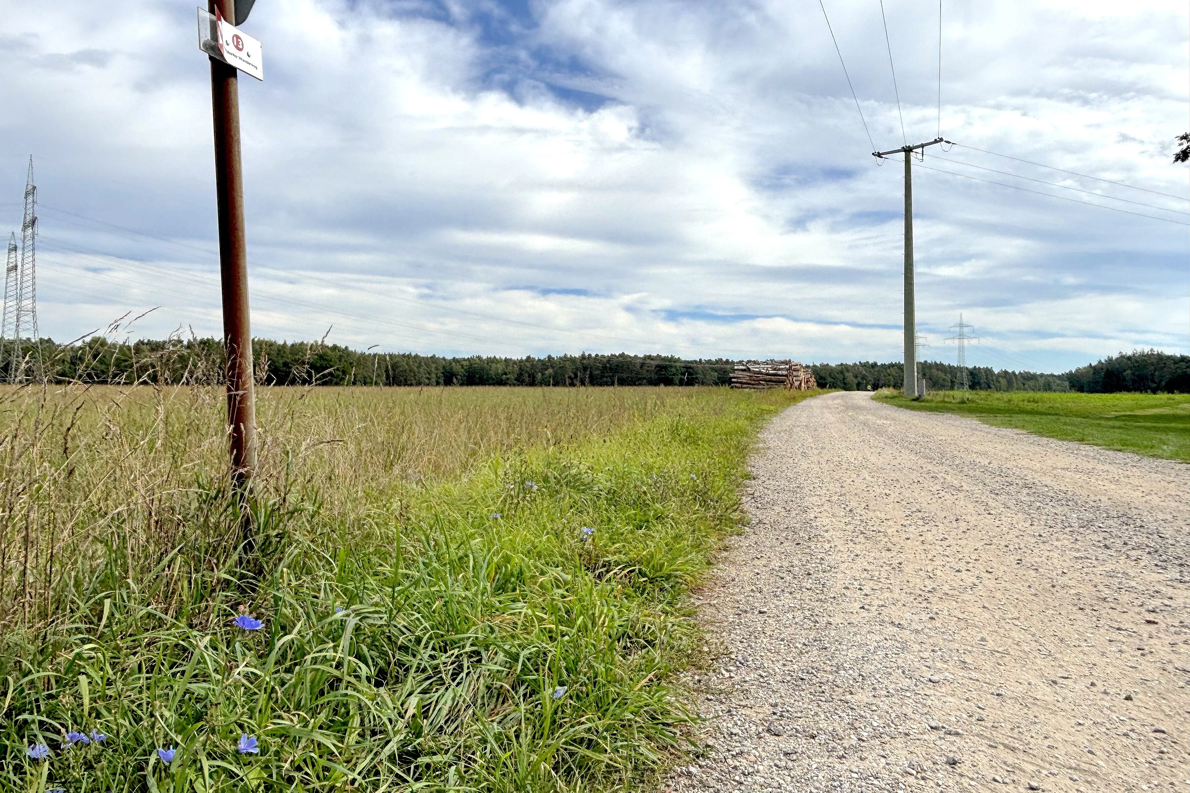 Der Verlauf eines geschotterten Feldweges. Am Horizont Strommasten, ein sehr großer Stapel Holzstämme. Im Vordergrund blaue Mohnblumen.