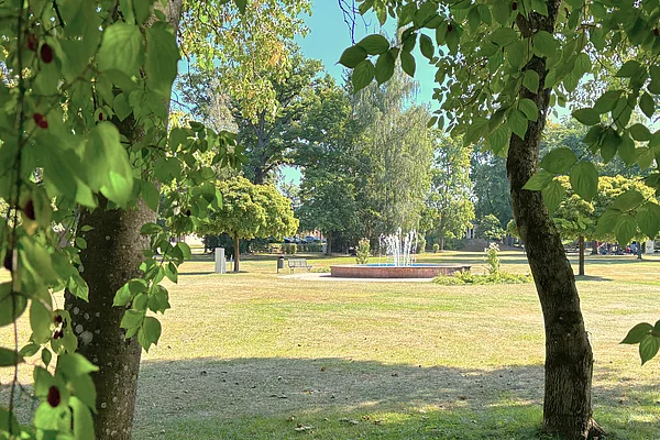 Blick durch die Bäume in Richtung einer Wiese, auf der in der Mitte ein Springbrunnen plätschert.