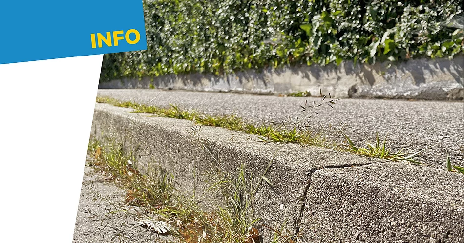Eine Informationsgrafik zeigt eine Bordsteinkante entlang eines Gehwegs, aus deren Fugen Gras und Unkraut wachsen. Im Hintergrund ist eine Hecke zu sehen. Links befindet sich ein blau-weiß gestalteter Informationsbereich mit der Überschrift „INFO“. In einem dunkelblauen Kreis steht der Hinweis „Grundstückspflege – Das gilt entlang von Straßen und Gehwegen“. Die Grafik weist auf Regelungen zur Pflege und Reinhaltung von Grundstücken entlang öffentlicher Verkehrsflächen hin.