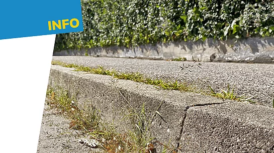Eine Informationsgrafik zeigt eine Bordsteinkante entlang eines Gehwegs, aus deren Fugen Gras und Unkraut wachsen. Im Hintergrund ist eine Hecke zu sehen. Links befindet sich ein blau-weiß gestalteter Informationsbereich mit der Überschrift „INFO“. In einem dunkelblauen Kreis steht der Hinweis „Grundstückspflege – Das gilt entlang von Straßen und Gehwegen“. Die Grafik weist auf Regelungen zur Pflege und Reinhaltung von Grundstücken entlang öffentlicher Verkehrsflächen hin.
