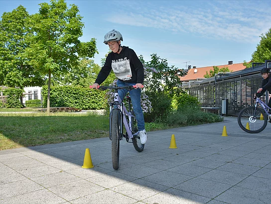 Foto: Thomas Stegerer