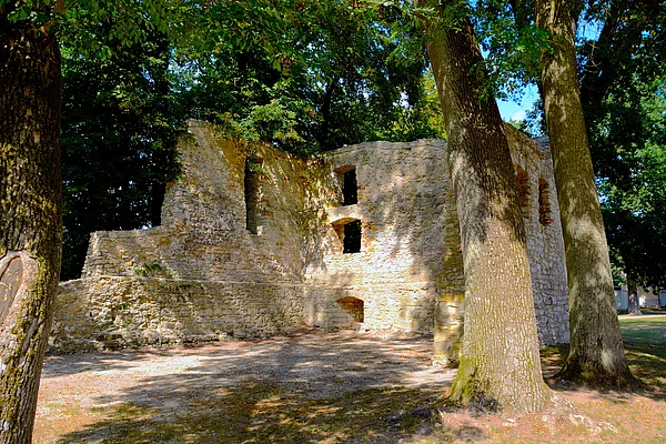 Ein brüchiges Steingebäude inmitten sehr großer, alter Bäume inmitten des Stadtparks.
