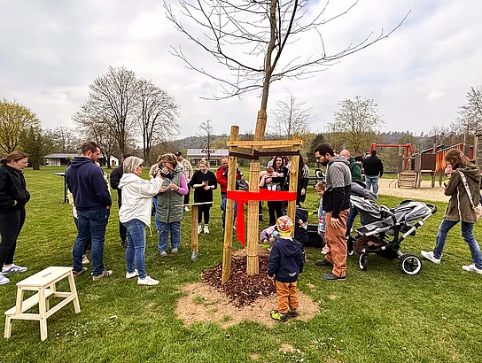 Familien mit Kindern und Kinderwagen versammeln sich um einen neu gepflanzten Baum, während einige Gäste Fotos machen und sich unterhalten.