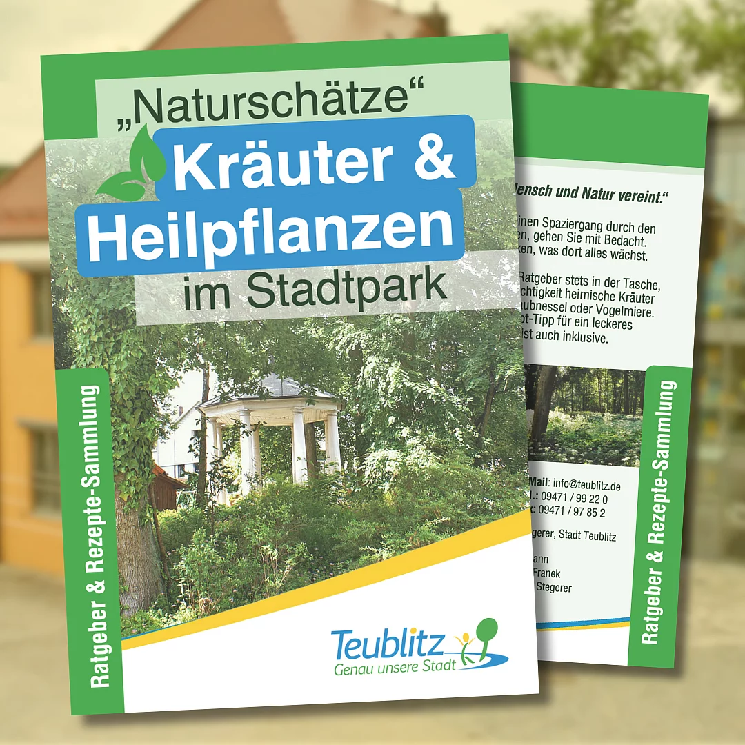 Das Cover-Bild der Broschüre "Naturschätze" Kräuter & Heilpflanzen im Stadtpark.