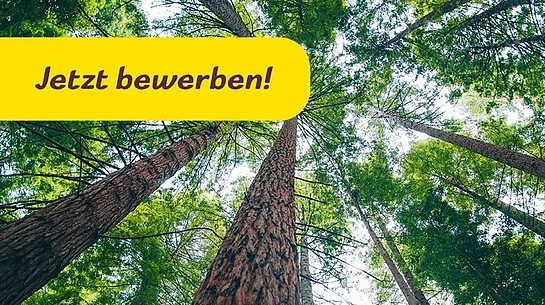 Der Banner wirbt mit dem Hinweis „Jetzt bewerben!“ vor einem Waldbild für die Bewerbung um den Bürgerenergiepreis.