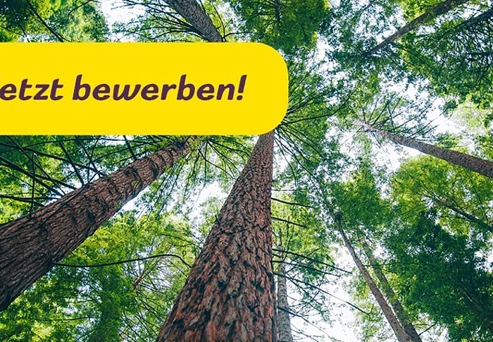 Der Banner wirbt mit dem Hinweis „Jetzt bewerben!“ vor einem Waldbild für die Bewerbung um den Bürgerenergiepreis.