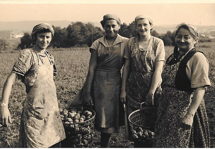 Quelle: Ludwig Schoyerer