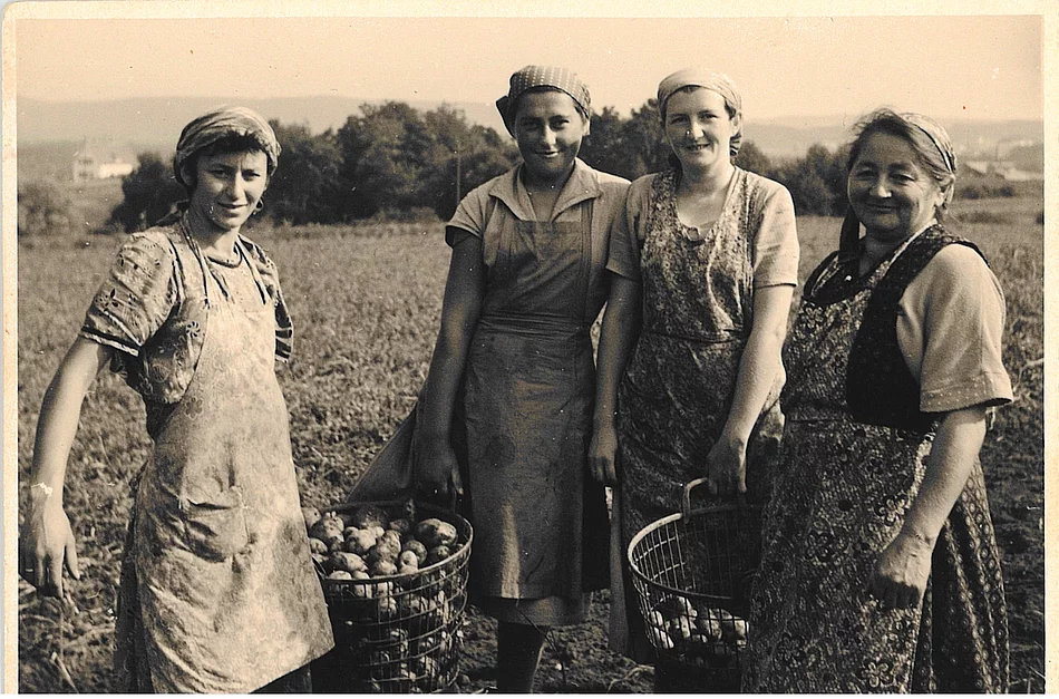 Quelle: Ludwig Schoyerer