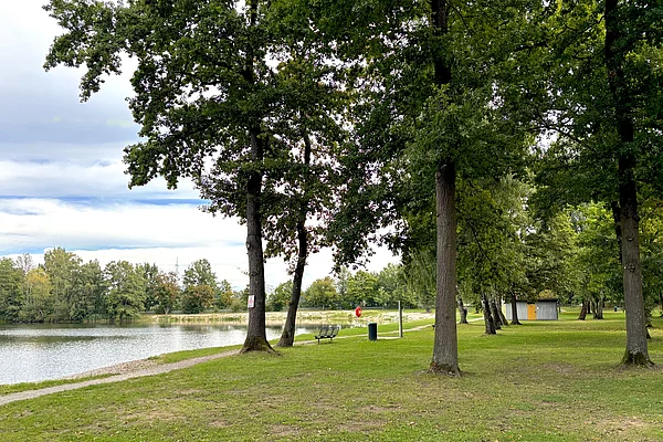 Eine grüne Wiese am Ufer eines Baggersees. Darauf befinden sich viele sehr große Bäume. In der Ferne ein Gebäude mit Toiletten und Umkleiden.
