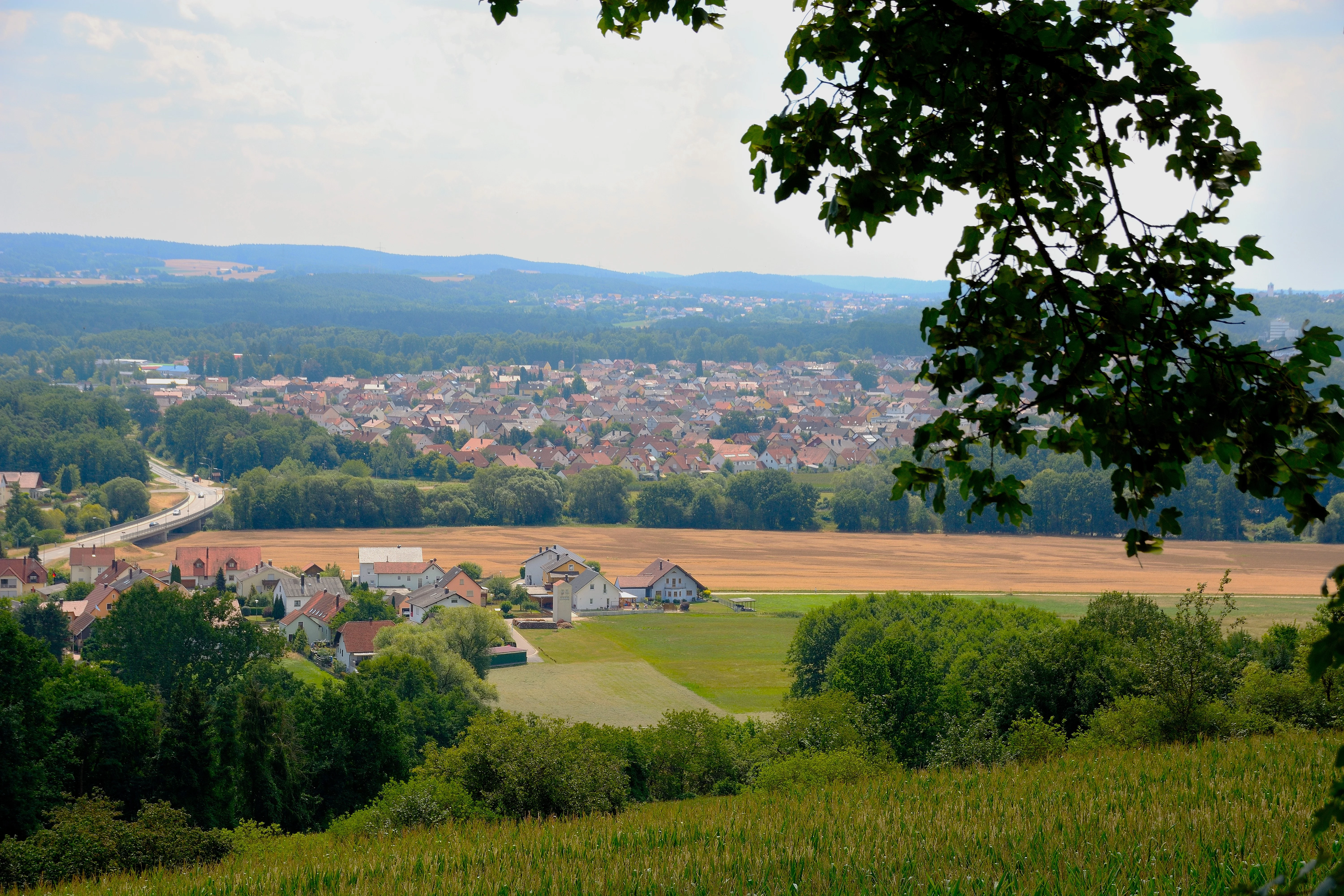 Blick von einem verwachsenen Hang über die nördlichen Wohnsiedlungen von Teublitz.