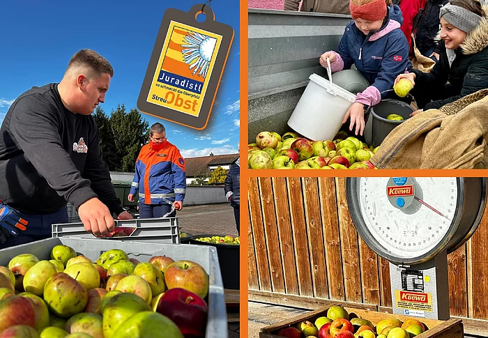 Die Collage zeigt Eindrücke einer Streuobstsammlung mit zahlreichen gesammelten Äpfeln in Kisten und Säcken, jungen Teilnehmenden beim Einsammeln sowie einer mit Äpfeln gefüllten Holzkiste auf einer großen Waage.