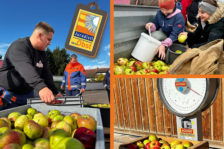 Die Collage zeigt Eindrücke einer Streuobstsammlung mit zahlreichen gesammelten Äpfeln in Kisten und Säcken, jungen Teilnehmenden beim Einsammeln sowie einer mit Äpfeln gefüllten Holzkiste auf einer großen Waage.