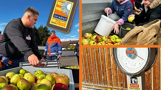 Die Collage zeigt Eindrücke einer Streuobstsammlung mit zahlreichen gesammelten Äpfeln in Kisten und Säcken, jungen Teilnehmenden beim Einsammeln sowie einer mit Äpfeln gefüllten Holzkiste auf einer großen Waage.