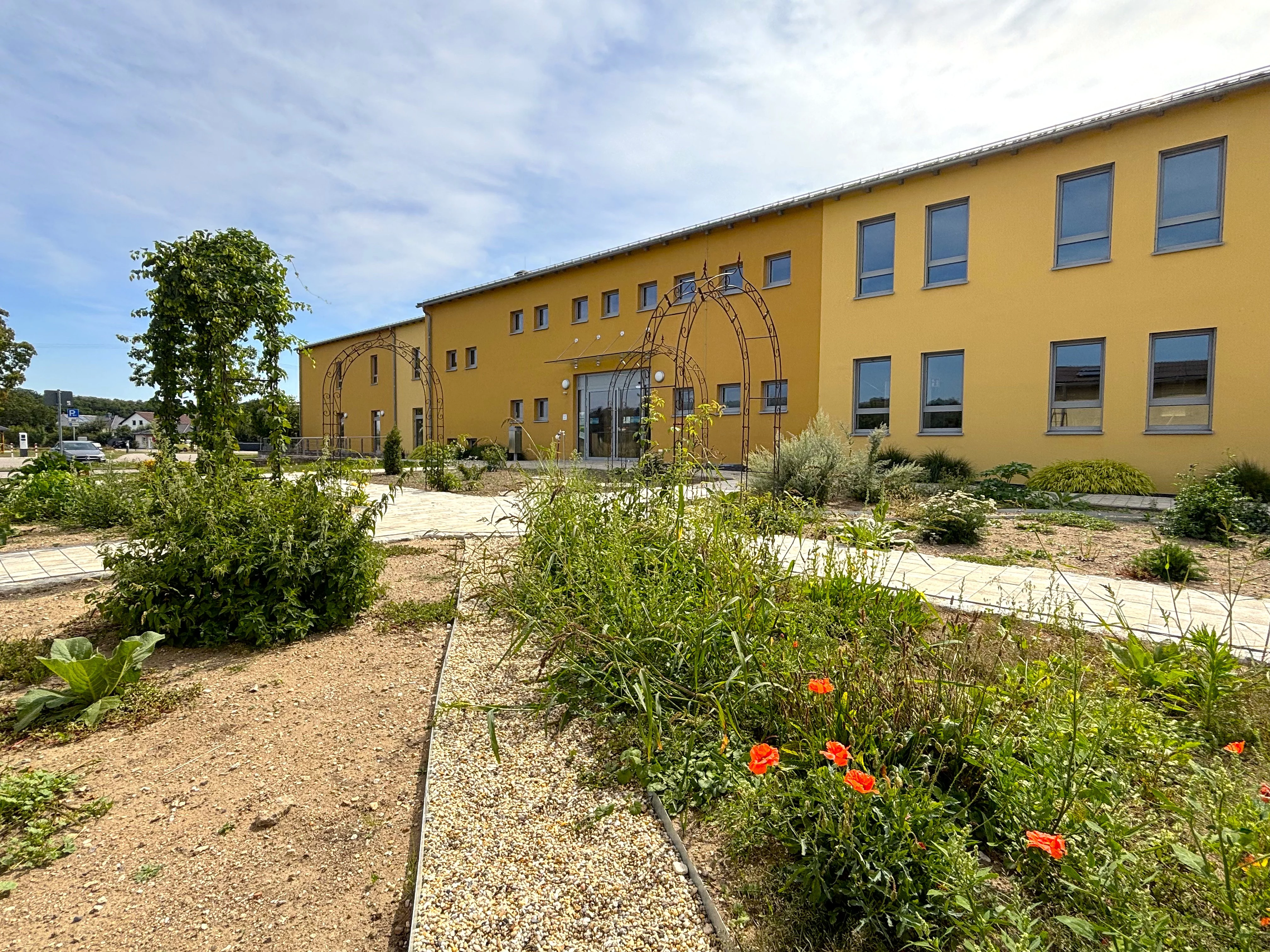 Wildkräutergewächse, die systematisch angepflanzt wurden. Im Hintergrund das gelb-orange Gebäude des Mehrgenerationenhauses.