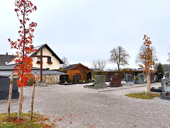 Ein Friedhof mit Reihen von Grabsteinen und zwei jungen Bäumen mit leuchtend roten Herbstblättern, im Hintergrund stehen einige Häuser und Bäume unter einem grauen Himmel.