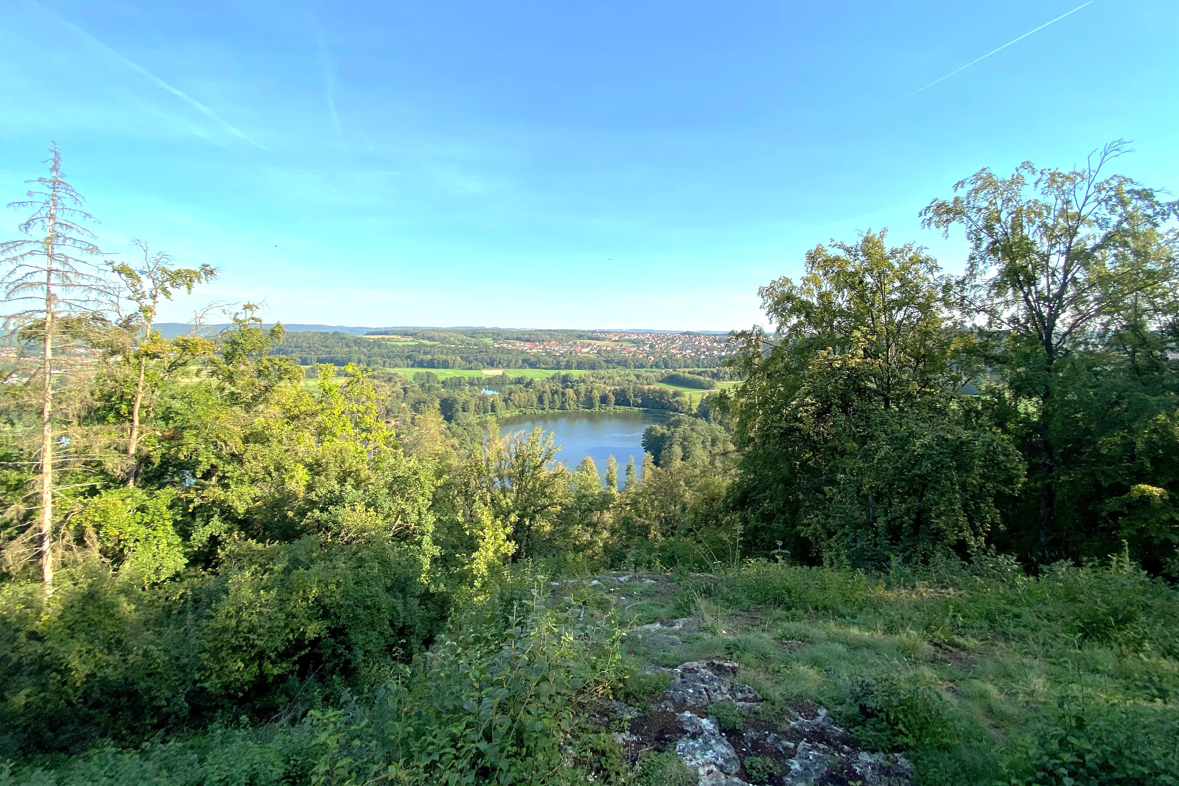 Blick von einer Erhöhung am Wanderweg "Malerwinkel" über die Baumwipfel in Richtung eines Baggersees und einer Wohnsiedlung im Hintergrund.