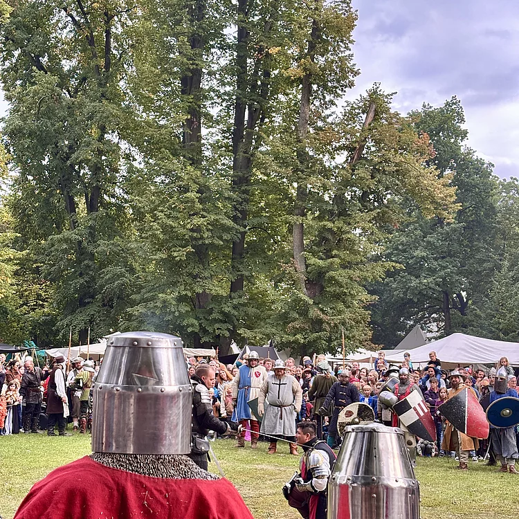 Im Vordergrund stehen zwei Ritter in Kettenhemd und Topfhelm mit dem Rücken zur Kamera und beobachten das Kampfgeschehen auf einer großen Wiese. In der Mitte des Bildes kniet ein weiterer Ritter in Rüstung, während sich weitere Kämpfer mit Schwertern und Schilden gegenüberstehen. Hinter dem Kampf versammeln sich zahlreiche Besucherinnen und Besucher, die das Spektakel verfolgen. Mittelalterliche Lagerzelte und hohe Bäume bilden die Kulisse des Stadtparks.