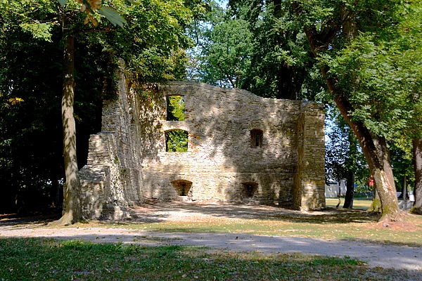 Ein brüchiges Steingebäude inmitten sehr großer, alter Bäume inmitten des Stadtparks.