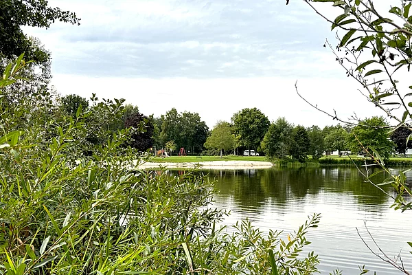 Blick über den Uferbewuchs des Baggersees in Richtung des anderen Ufers. Dort befindet sich eine große Liegewiese und ein Spielplatz.