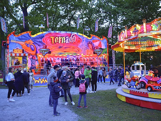 Grell bunt beleuchtete Fahrgeschäfte und ein Karussell vor der Schlossruine.