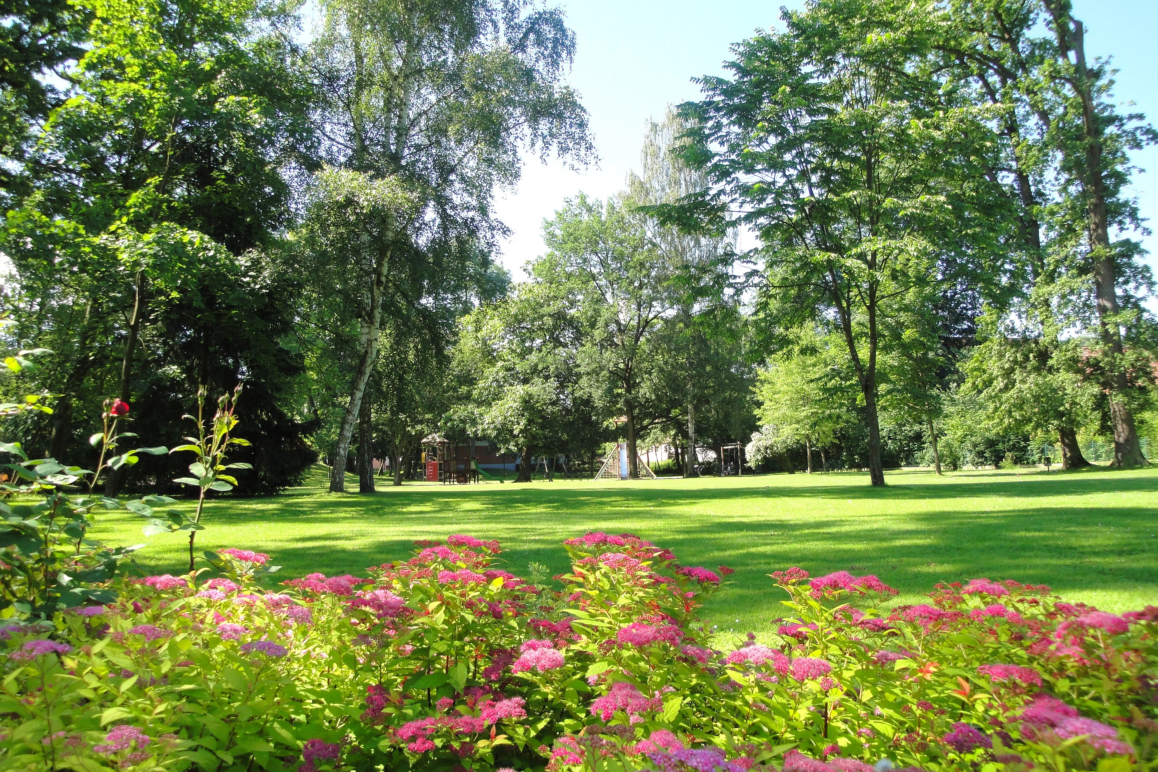Blühende Sträucher vor einer saftig grünen Liegewiese. Im Hintergrund unzählige Bäume und ein großer Spielplatz.