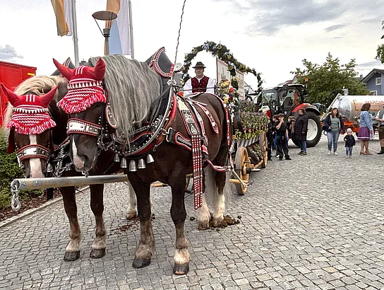 Traditioneller Auftakt: Festlich geschmückte Pferdegespanne und Vereine zogen beim Volksfestauszug durch Teublitz.