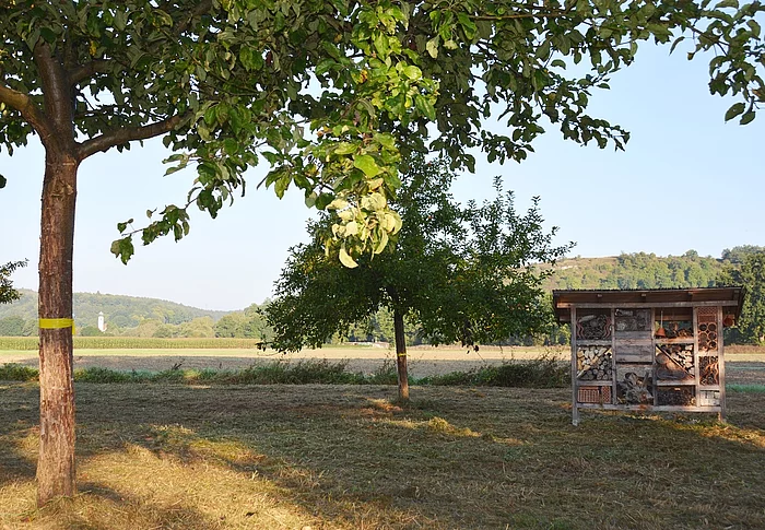 Foto: Thomas Stegerer