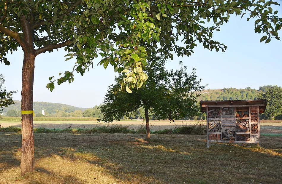 Foto: Thomas Stegerer