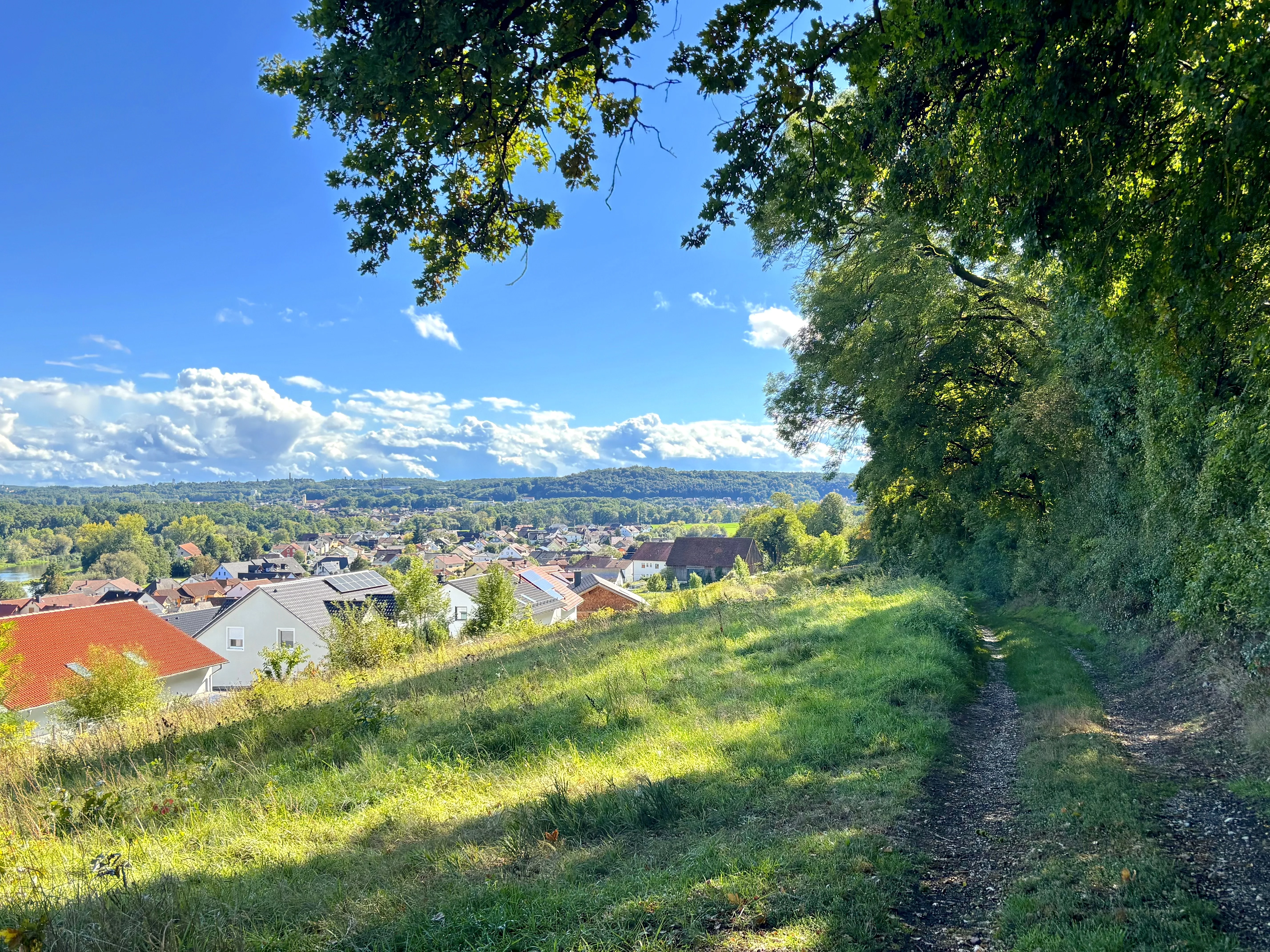 Ein schmaler Wiesenweg verläuft am Rand eines bewaldeten Hangs oberhalb eines Ortes, dessen Dächer sich unter einem weiten blauen Himmel mit Wolken ausbreiten.