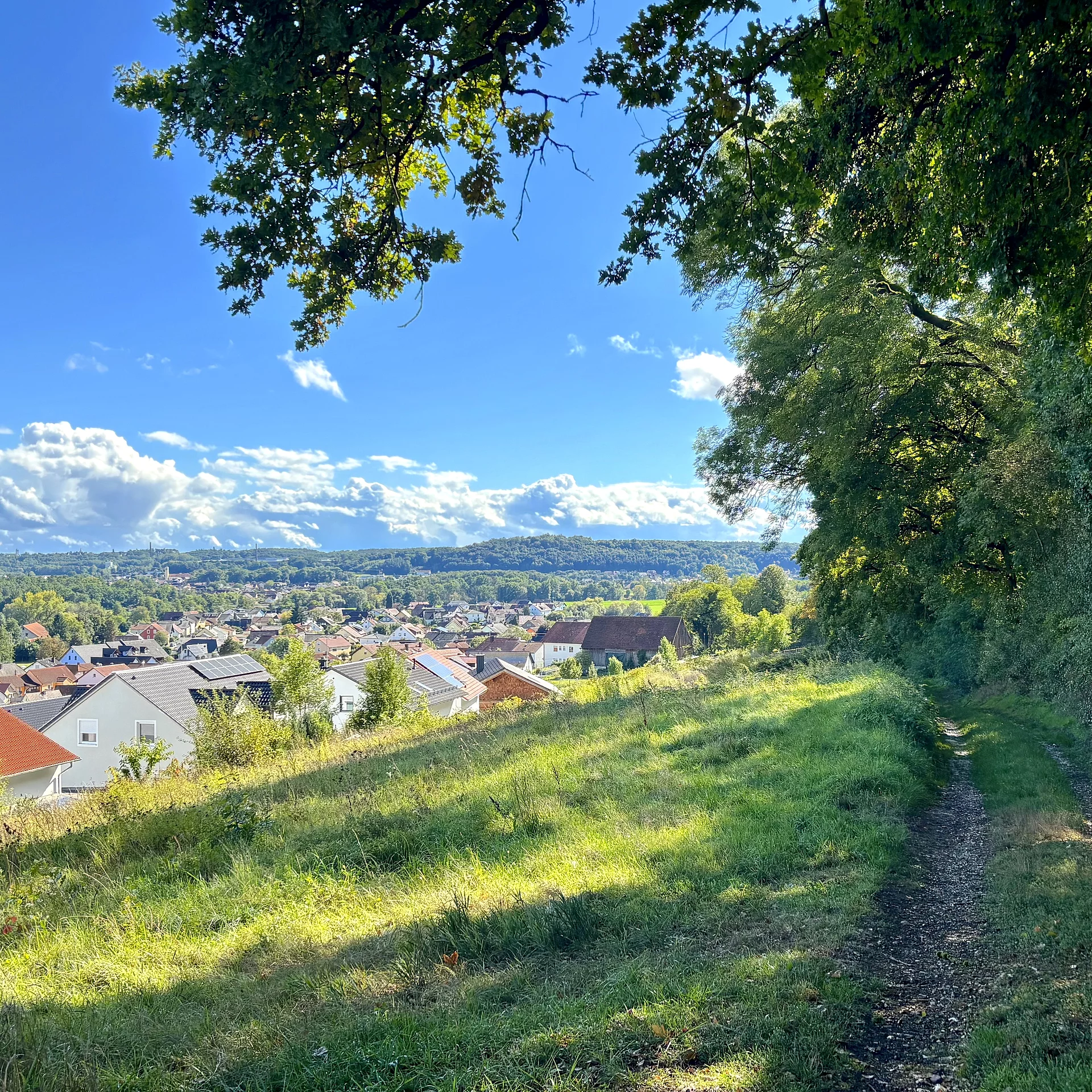 Ein schmaler Wiesenweg verläuft am Rand eines bewaldeten Hangs oberhalb eines Ortes, dessen Dächer sich unter einem weiten blauen Himmel mit Wolken ausbreiten.