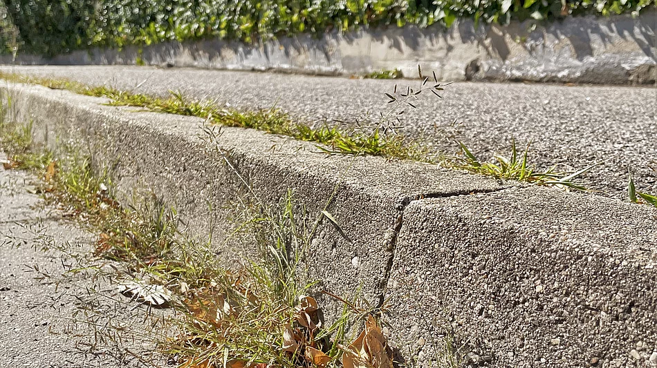 Foto: Thomas Stegerer