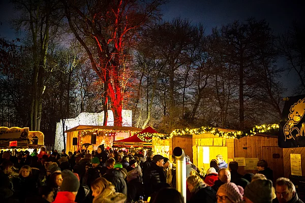 Blick über das weihnachtliche Budendorf in Richtung der hell erleuchteten Bühne vor der Schlossruine.