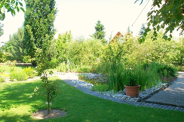 Blick in einen schön angelegten und dicht bewachsenen Garten.