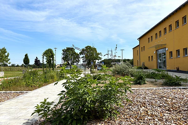 Blick über die grün wachsenden Pflanzen der Wilkräuterwiese. Rechterhand das orange-gelbe Gebäude des Mehrgenerationenhauses.