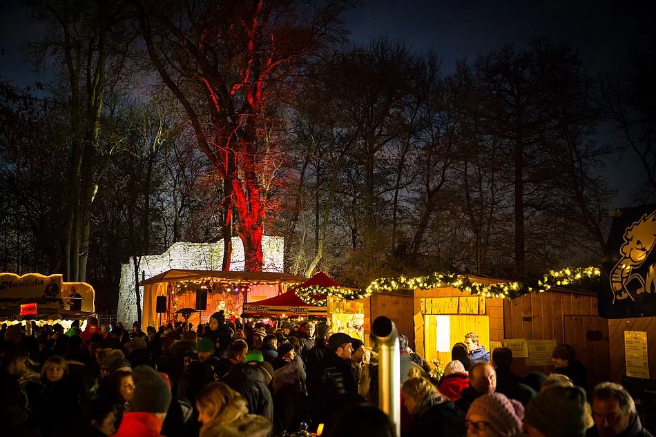 Foto: Matthias Erich